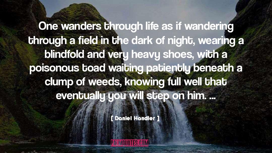 Wooden Shoes quotes by Daniel Handler