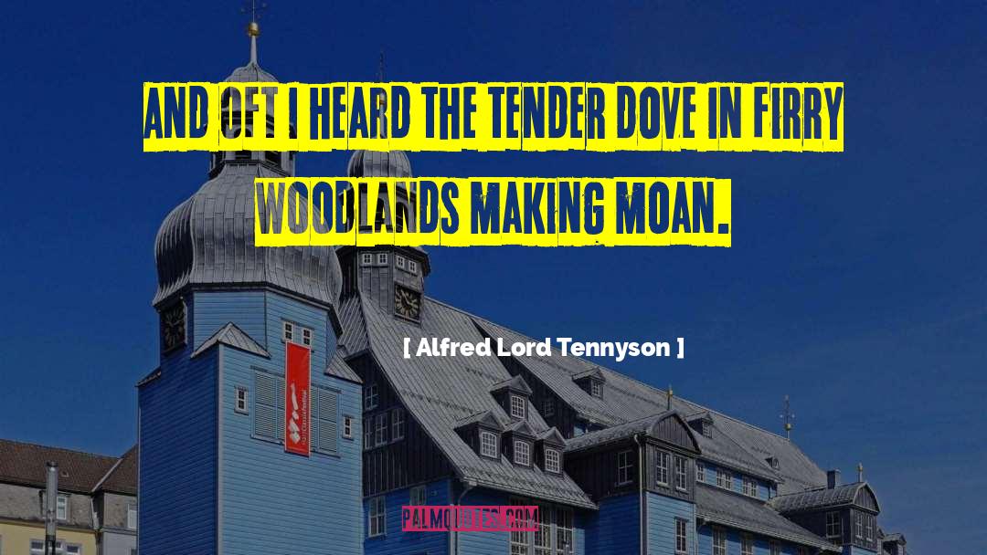 Woodland quotes by Alfred Lord Tennyson