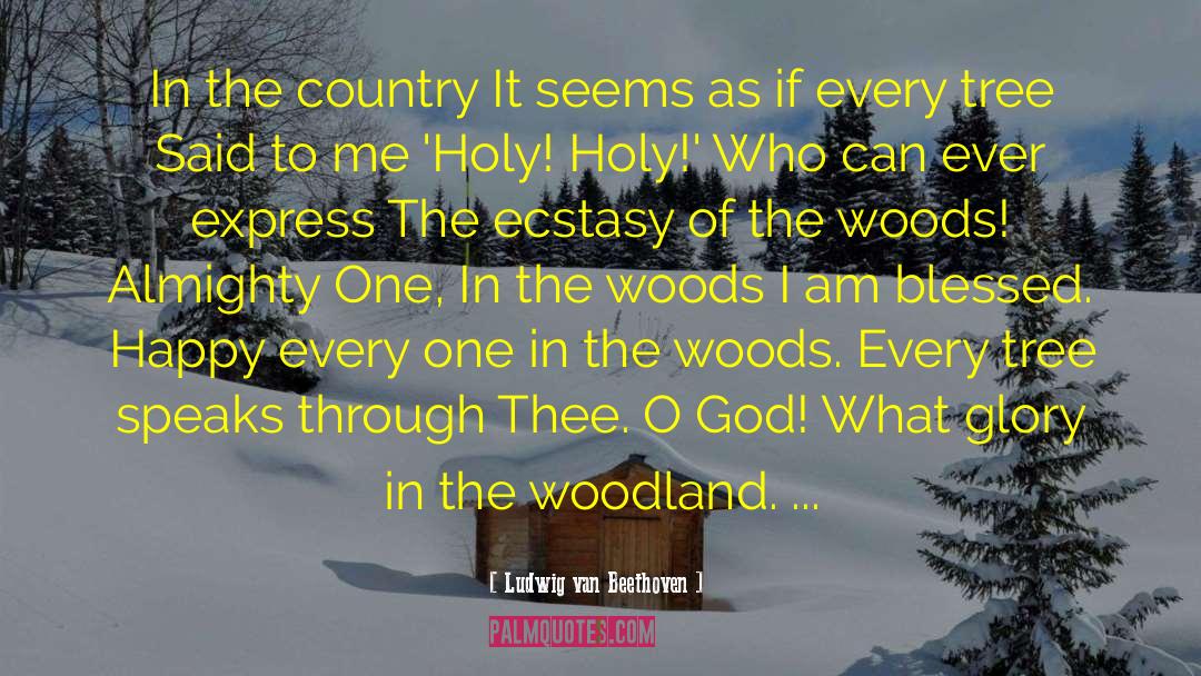 Woodland quotes by Ludwig Van Beethoven