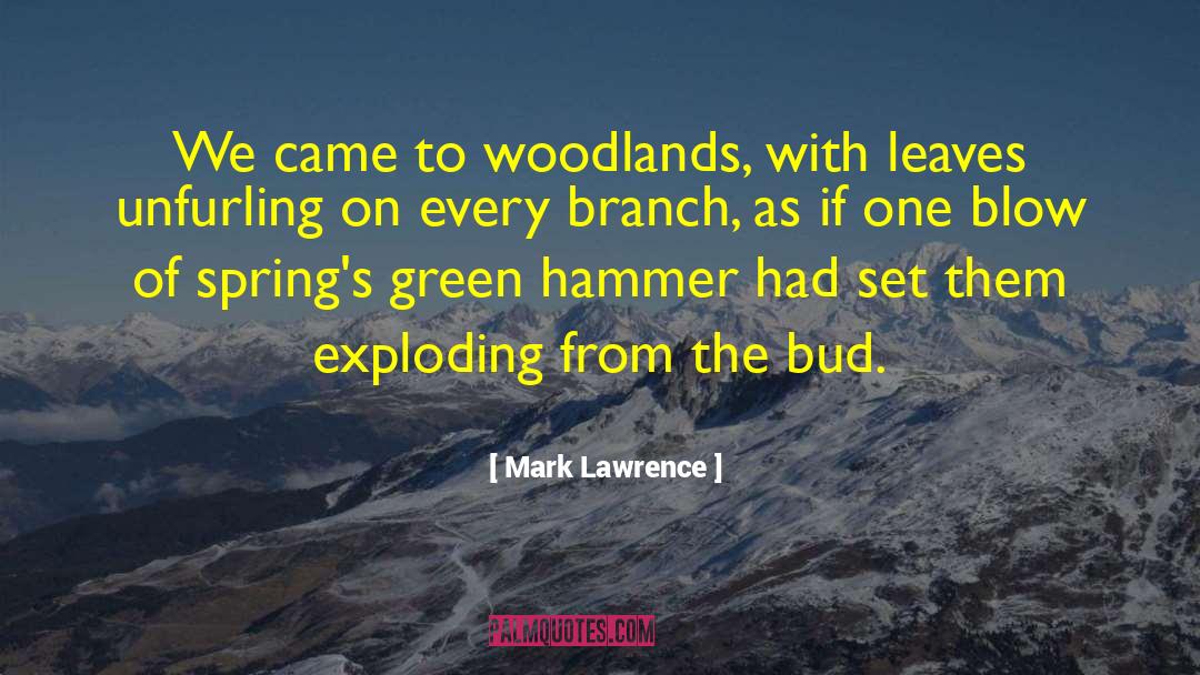 Woodlands quotes by Mark Lawrence