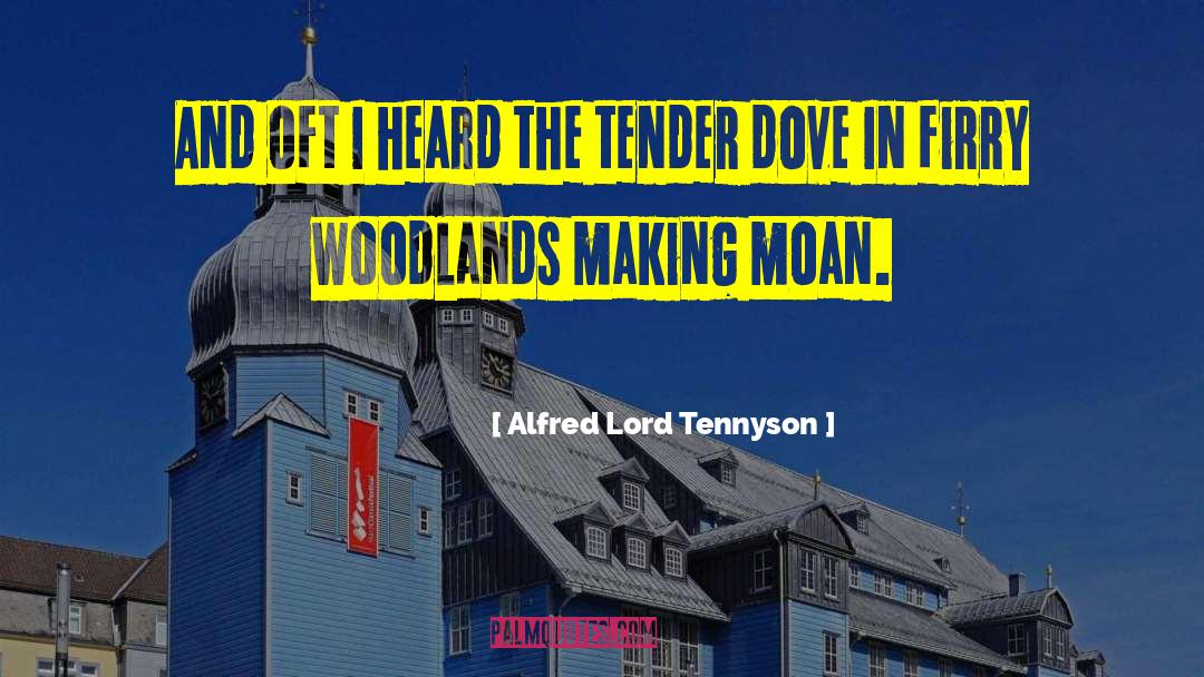 Woodlands quotes by Alfred Lord Tennyson