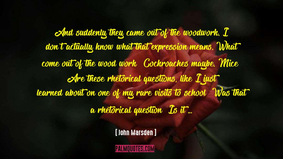 Woodwork quotes by John Marsden
