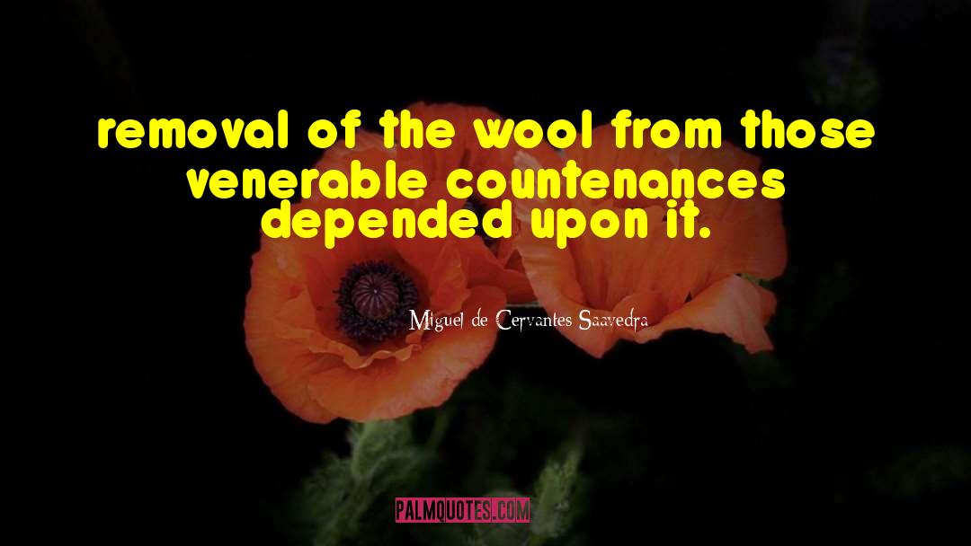 Wool 6 quotes by Miguel De Cervantes Saavedra