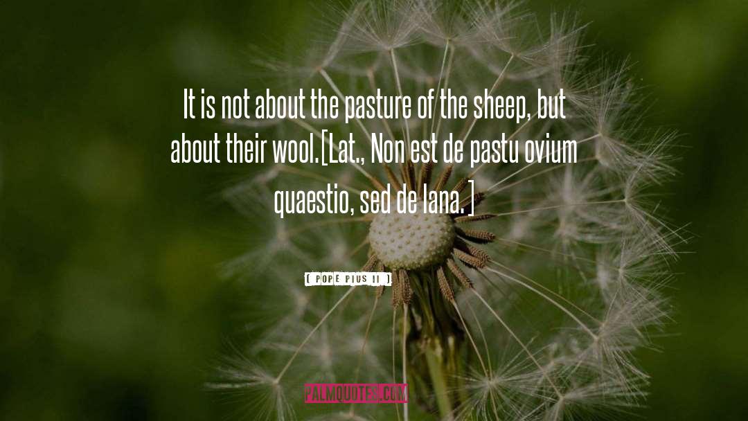 Wool quotes by Pope Pius II