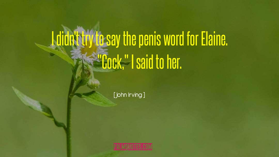 Word Games quotes by John Irving