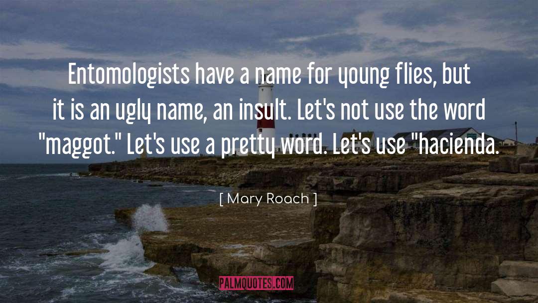 Word Rate quotes by Mary Roach