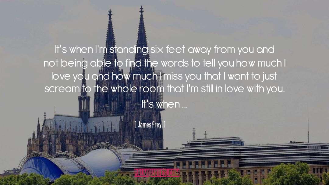 Words Cannot Describe How Much I Miss You quotes by James Frey