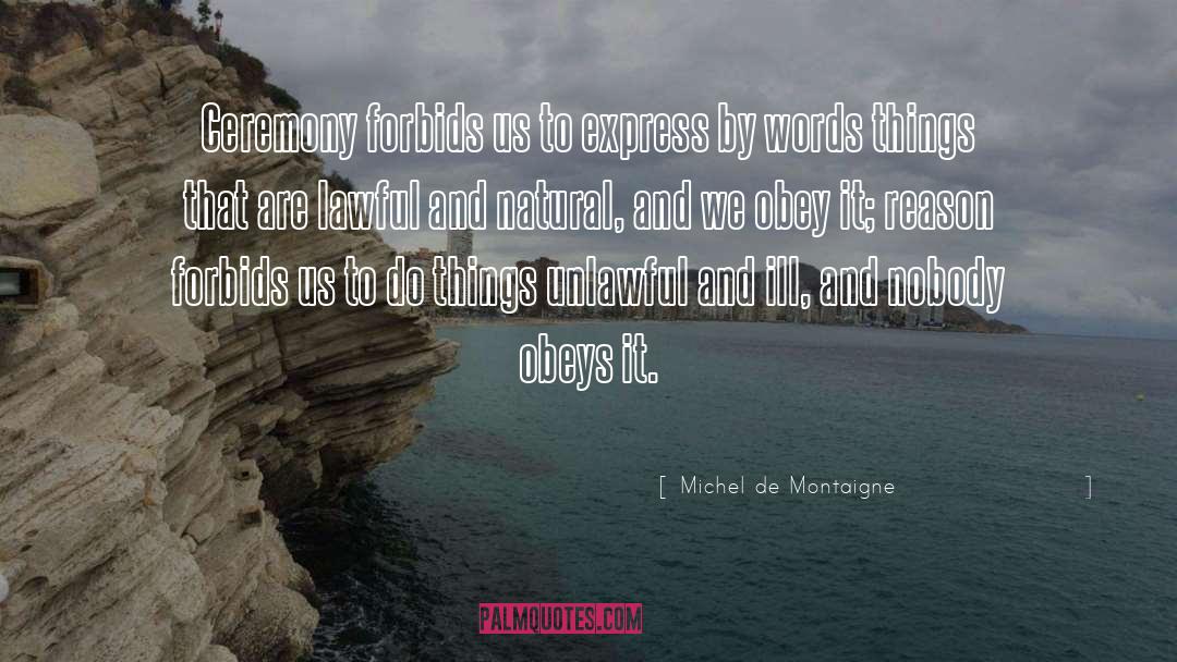 Words Fail quotes by Michel De Montaigne