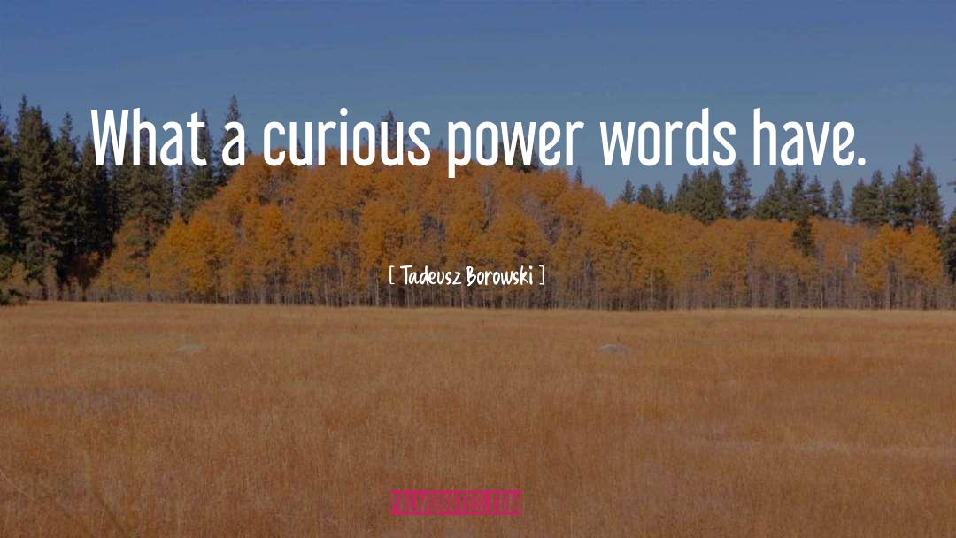 Words Have Power quotes by Tadeusz Borowski