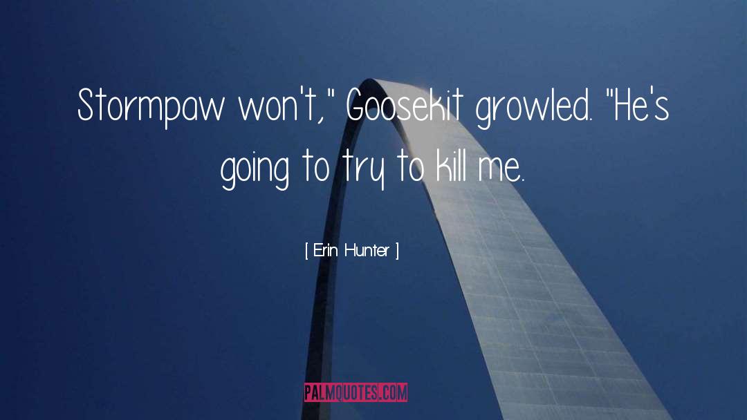 Words Kill quotes by Erin Hunter