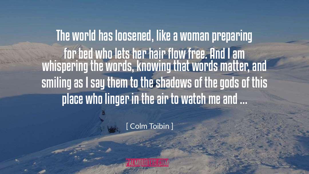 Words Matter quotes by Colm Toibin
