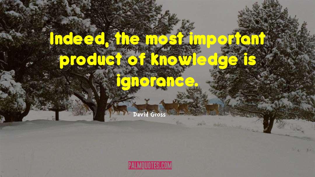 Words Of Knowledge quotes by David Gross