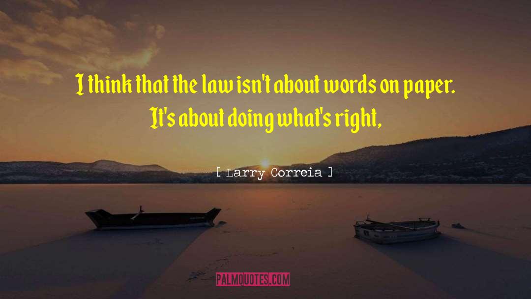 Words On Paper quotes by Larry Correia