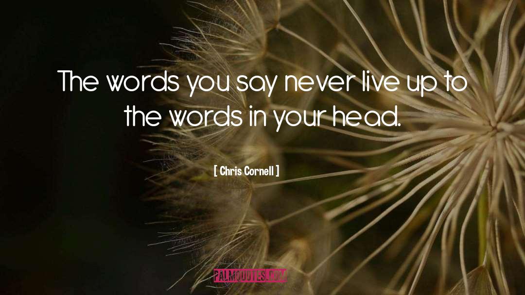 Words You Say quotes by Chris Cornell