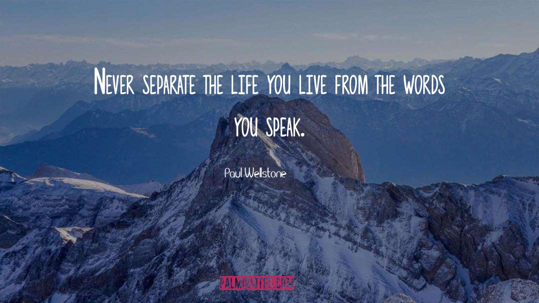 Words You Speak quotes by Paul Wellstone