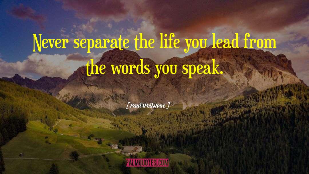 Words You Speak quotes by Paul Wellstone