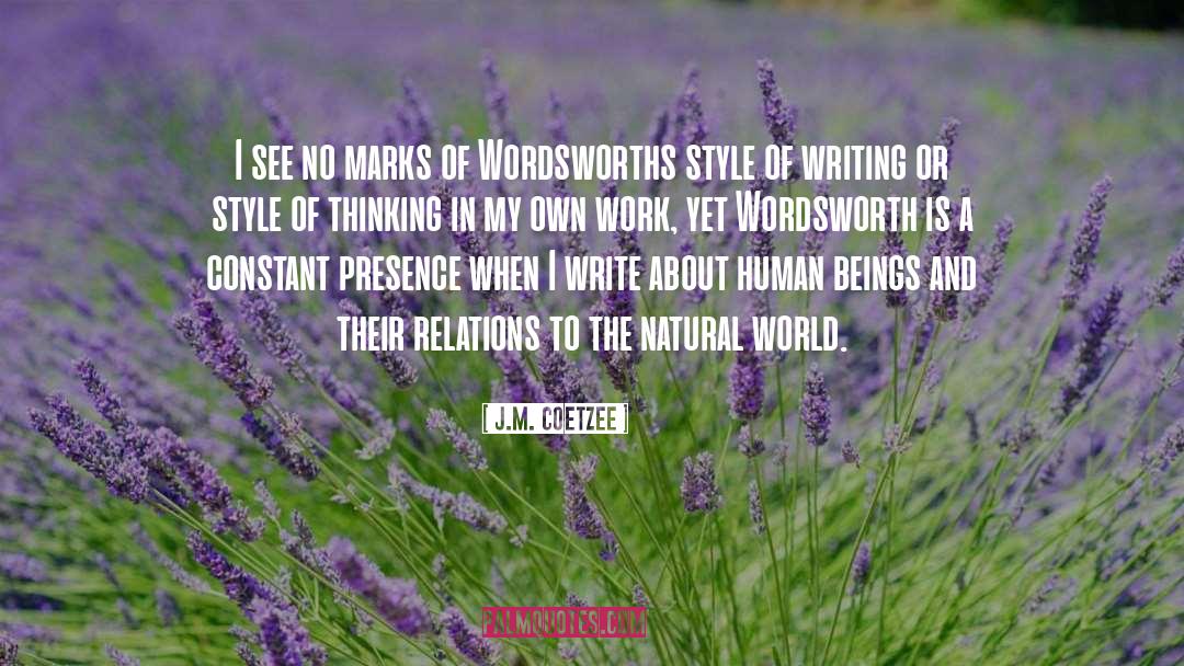 Wordsworths Tintern quotes by J.M. Coetzee