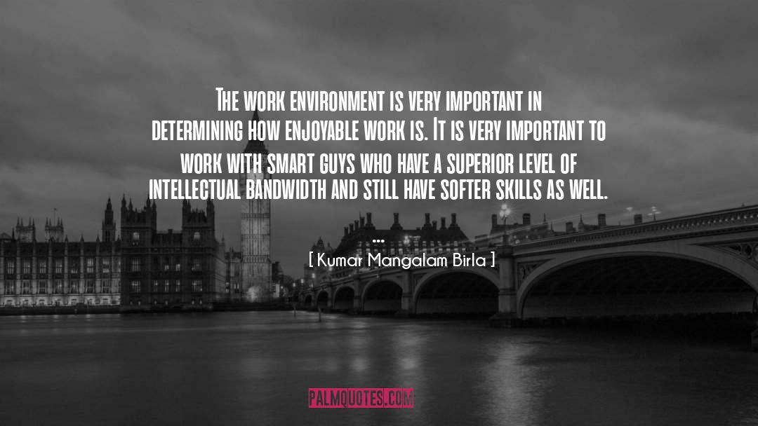 Work Environment quotes by Kumar Mangalam Birla