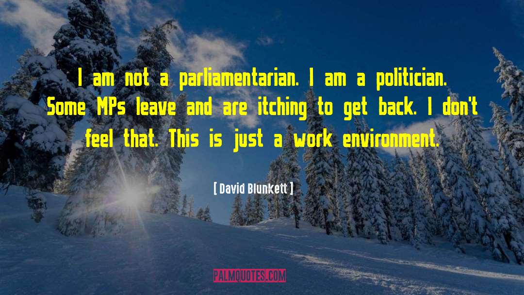 Work Environment quotes by David Blunkett