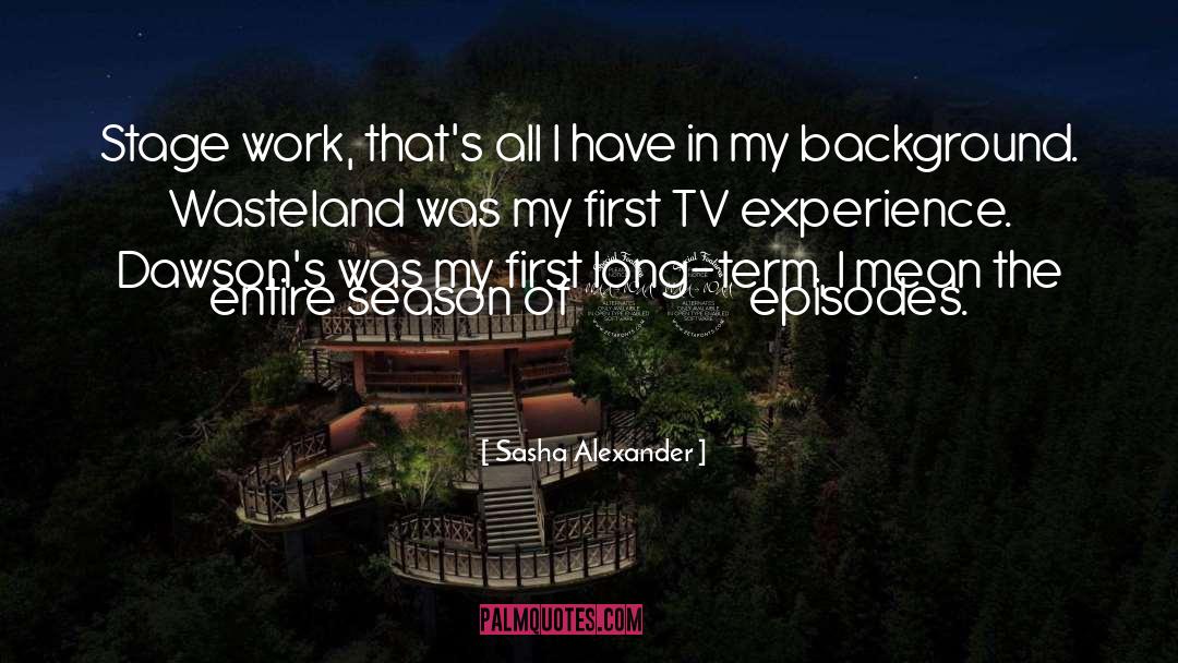 Work Experience quotes by Sasha Alexander