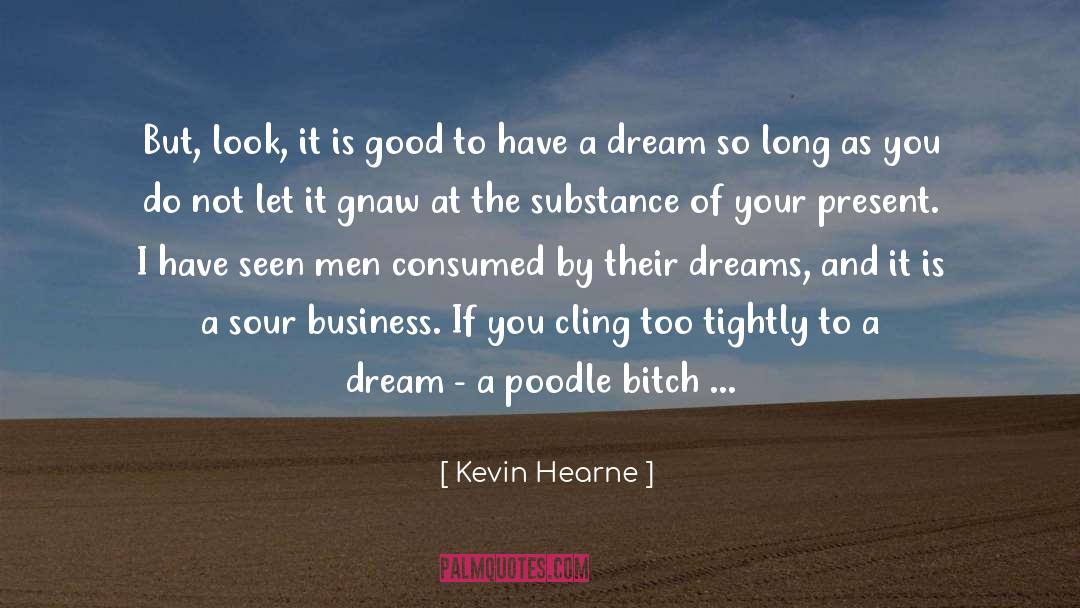 Work Hard For Your Dreams quotes by Kevin Hearne