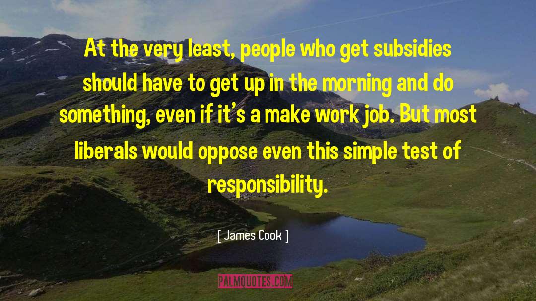 Work Job quotes by James Cook