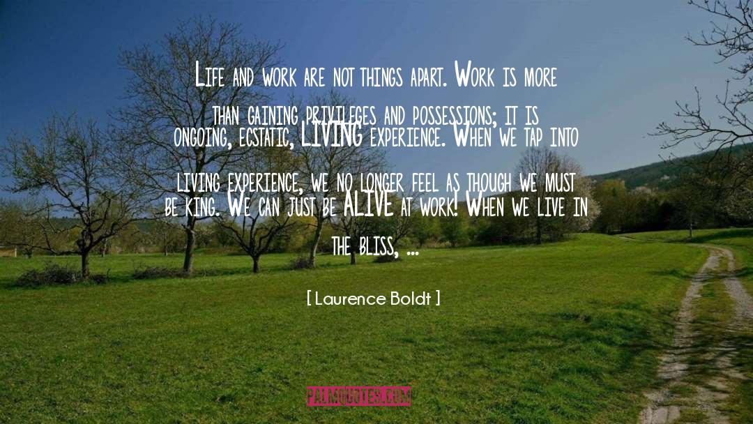 Work Life Conflict quotes by Laurence Boldt