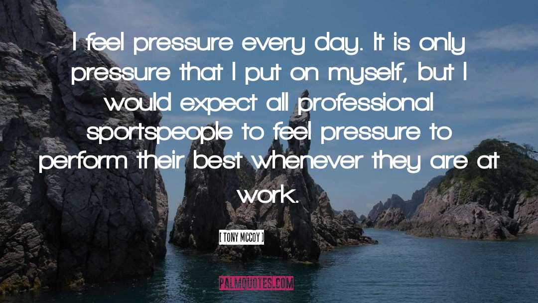 Work Pressure quotes by Tony McCoy
