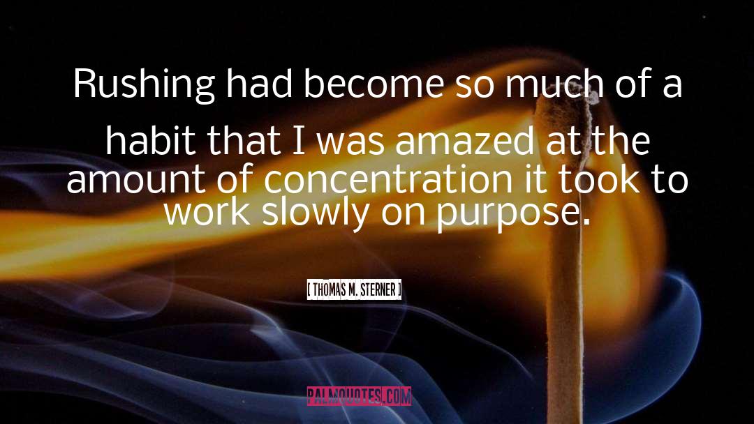 Work Purpose quotes by Thomas M. Sterner