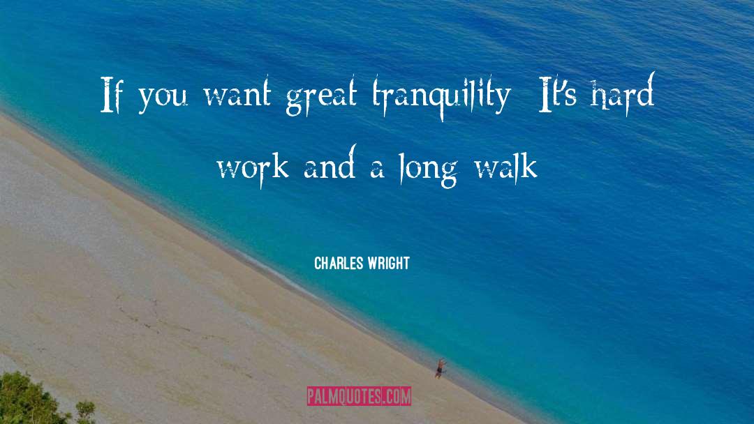 Work Related quotes by Charles Wright