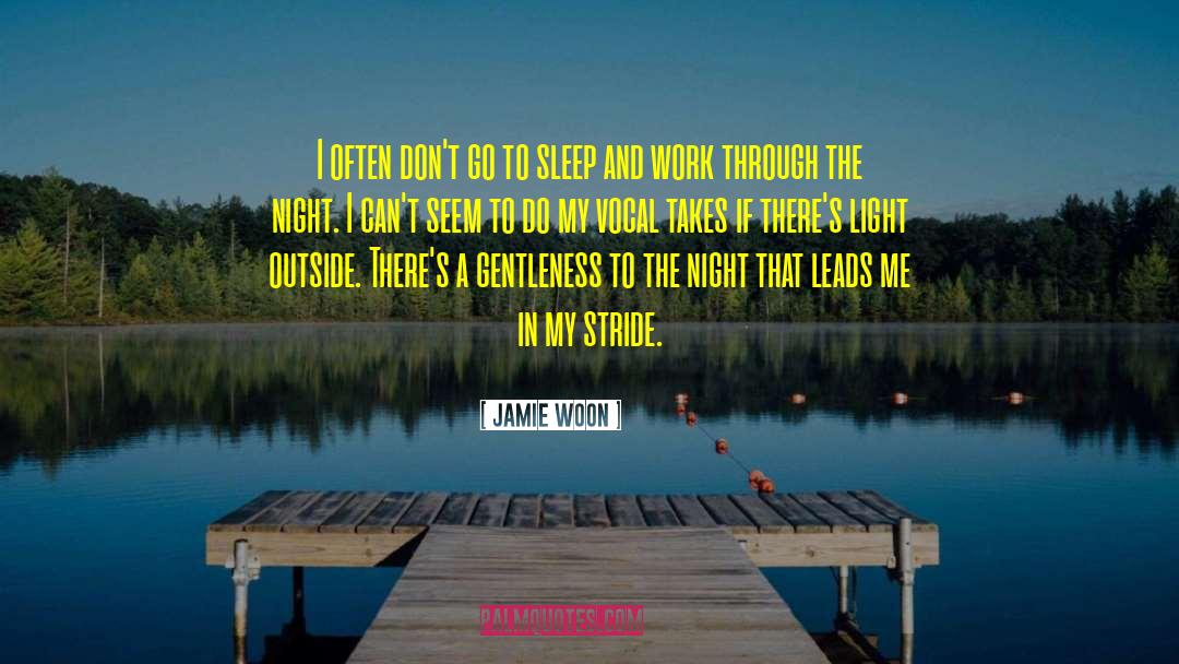Work Success quotes by Jamie Woon