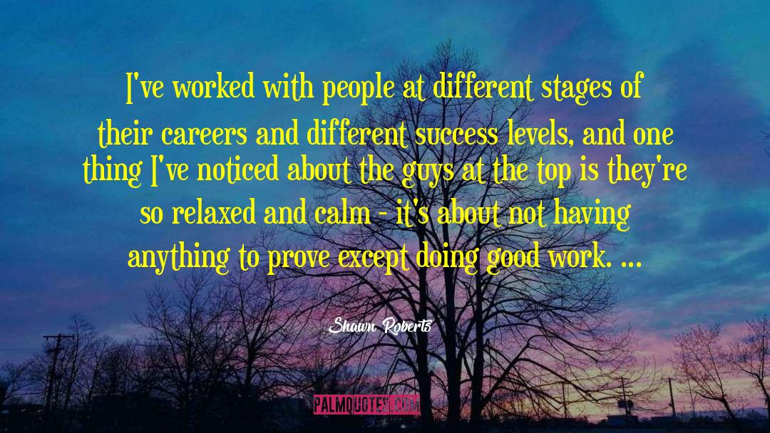 Work Success quotes by Shawn Roberts