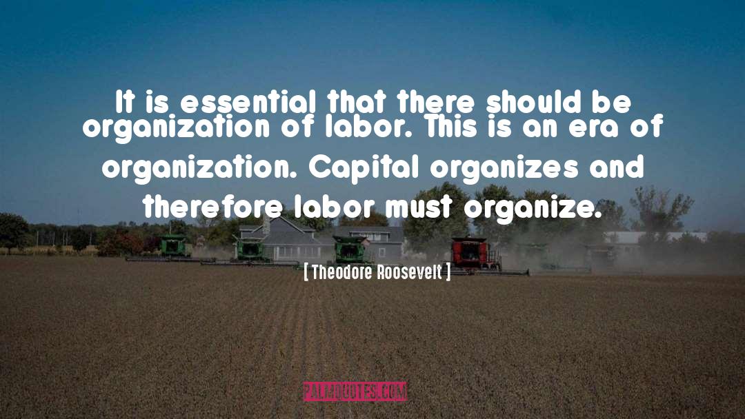 Workers Trade Unions Einstein quotes by Theodore Roosevelt