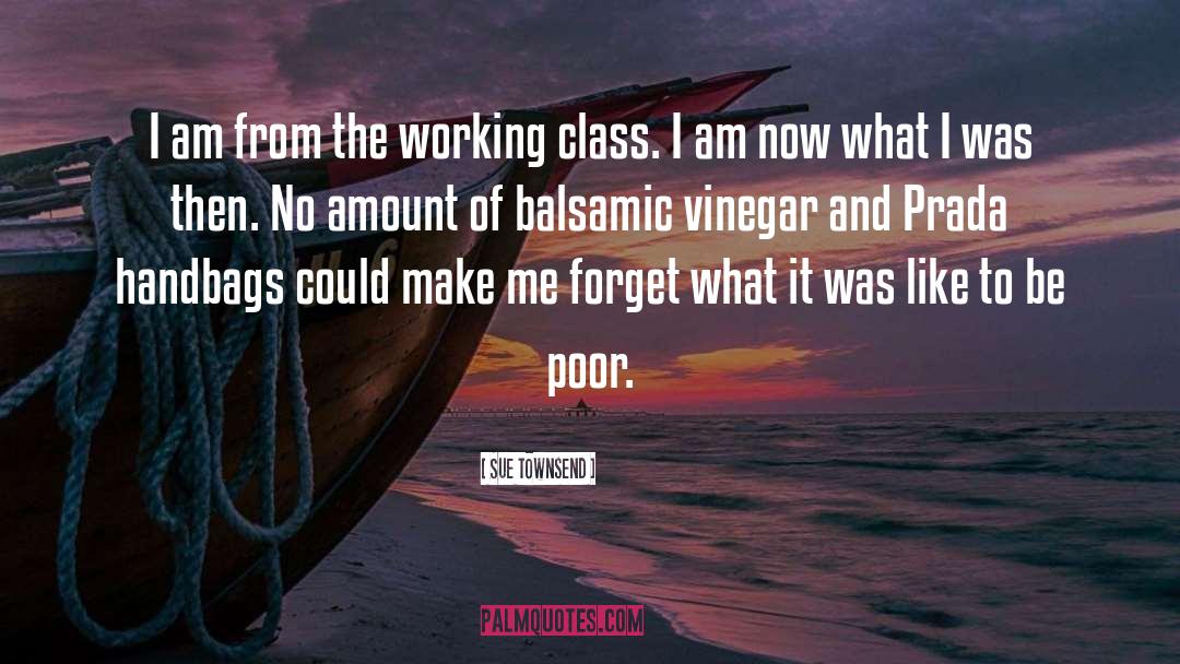 Working Class quotes by Sue Townsend
