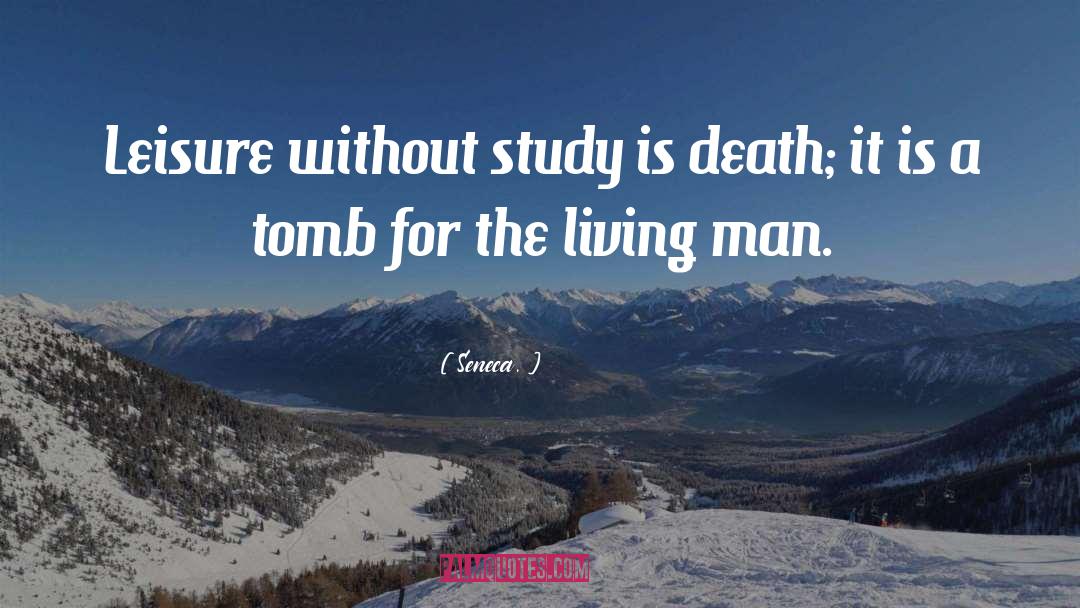 Working For A Living quotes by Seneca.