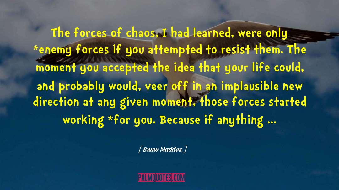 Working For You quotes by Bruno Maddox