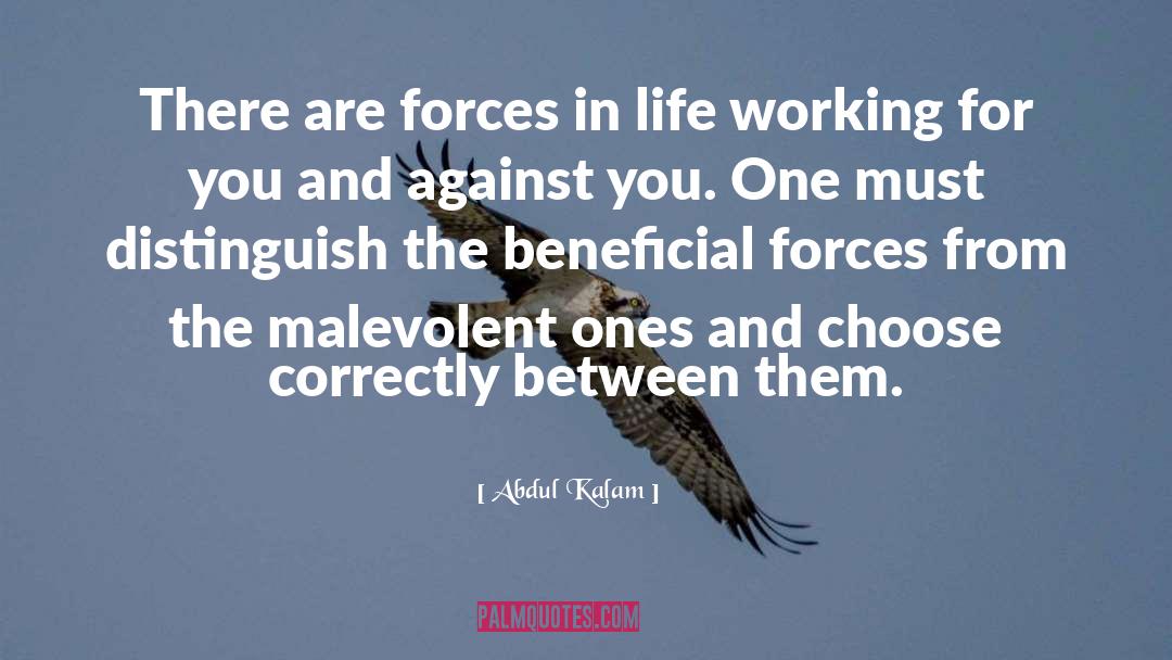Working For You quotes by Abdul Kalam