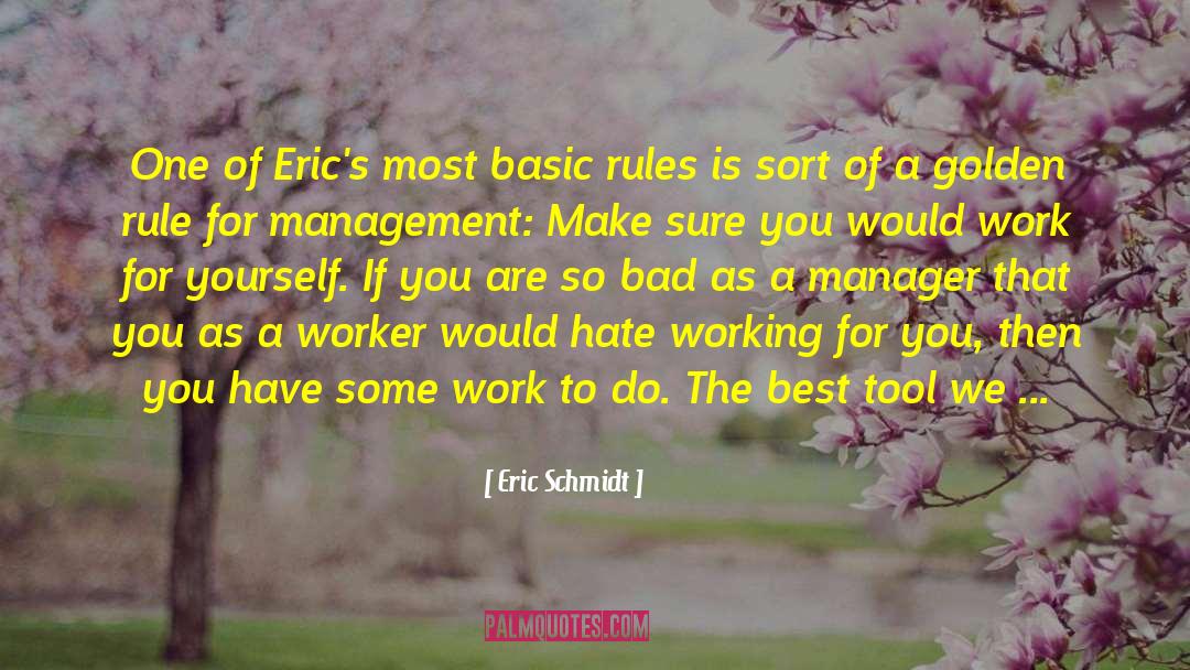 Working For You quotes by Eric Schmidt