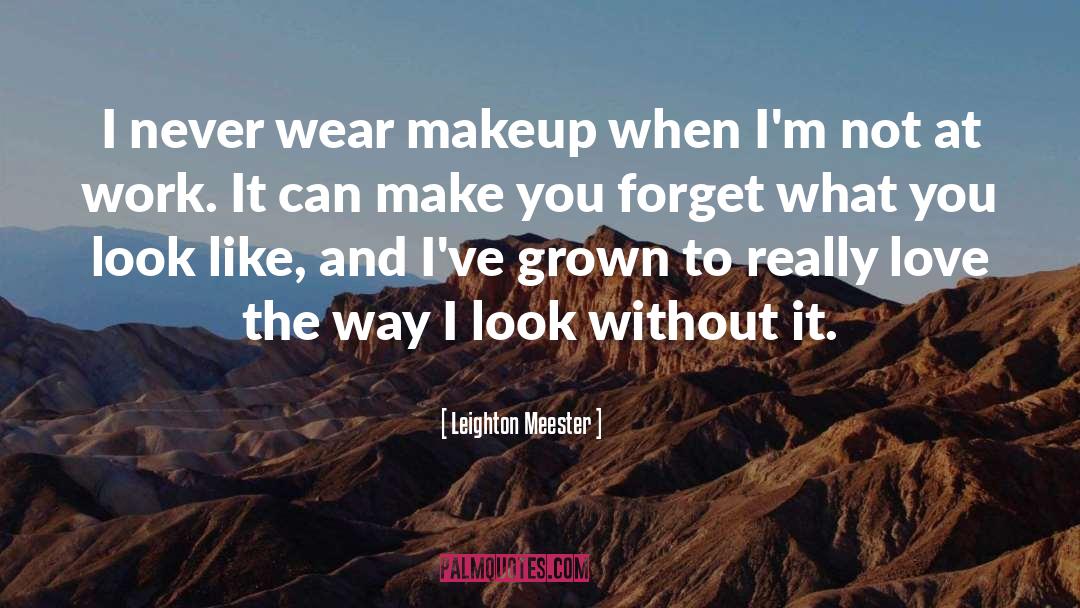 Working It quotes by Leighton Meester