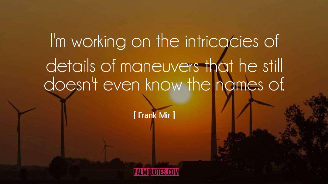 Working Mom quotes by Frank Mir