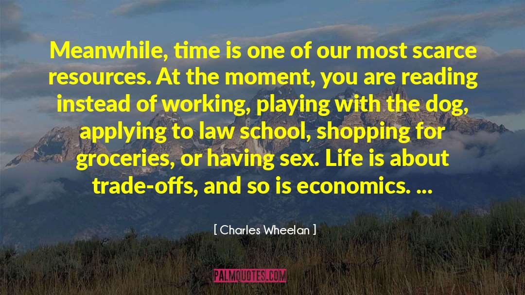 Working So Hard quotes by Charles Wheelan