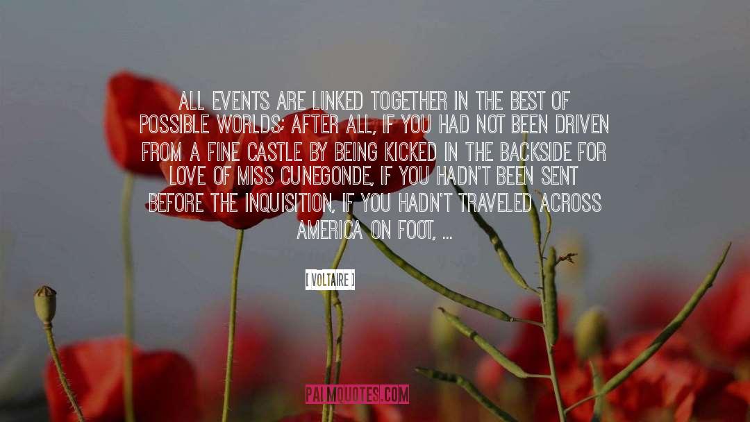 Working Together For Love quotes by Voltaire
