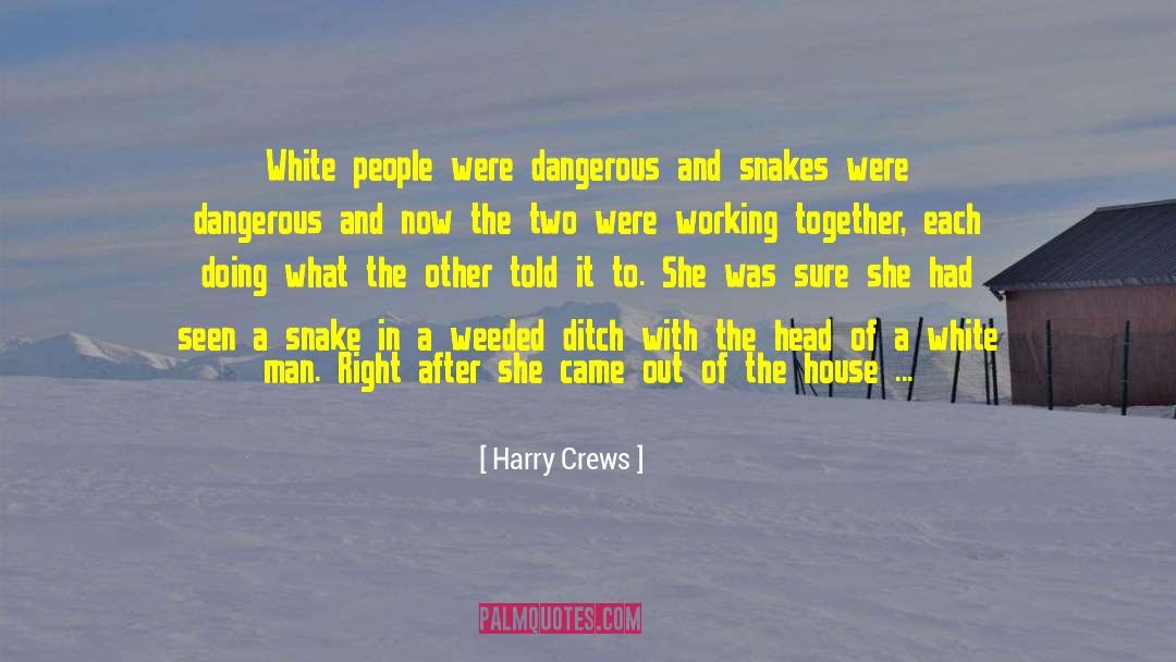 Working With Oneness quotes by Harry Crews