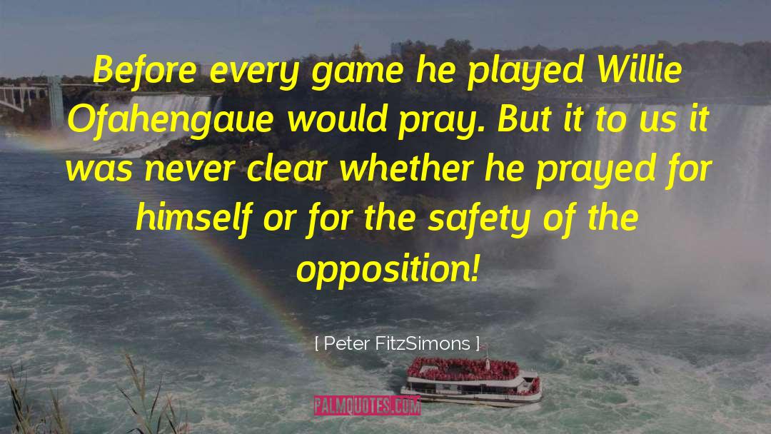 Workplace Safety quotes by Peter FitzSimons