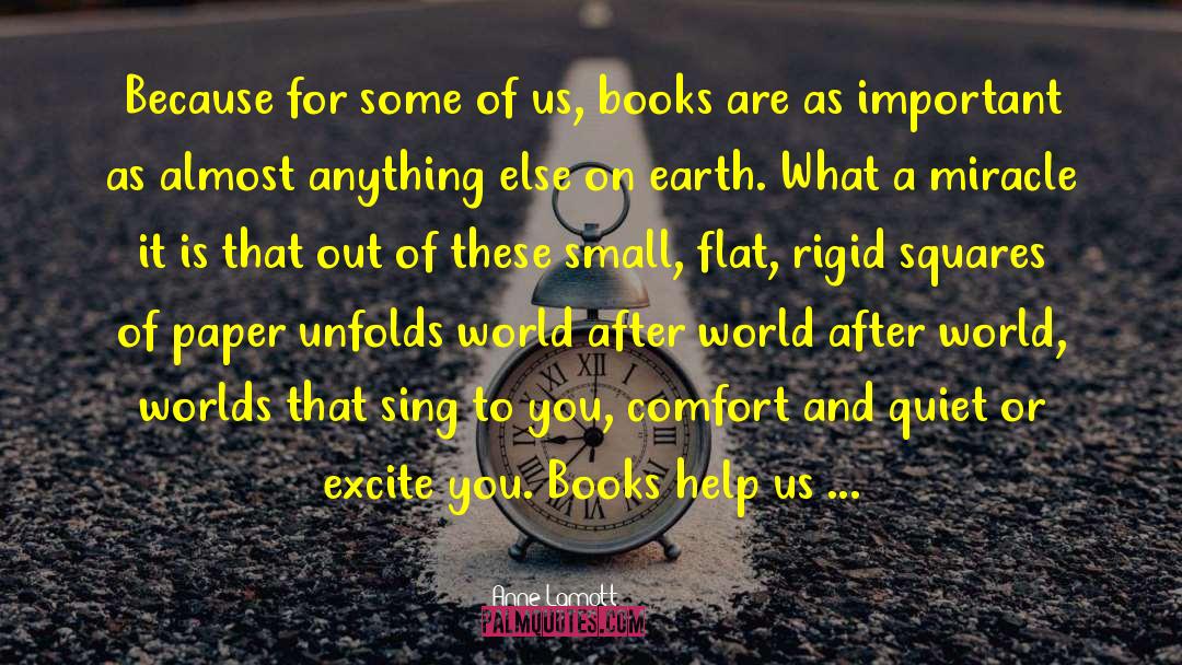 World After quotes by Anne Lamott