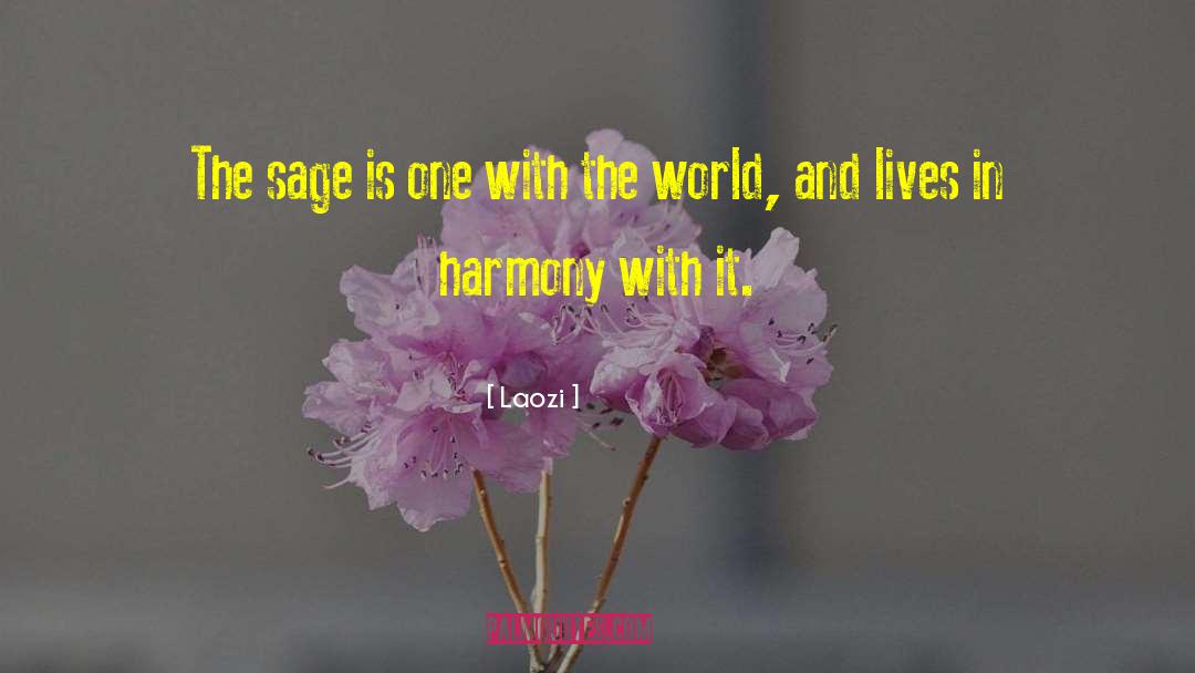 World And Life quotes by Laozi