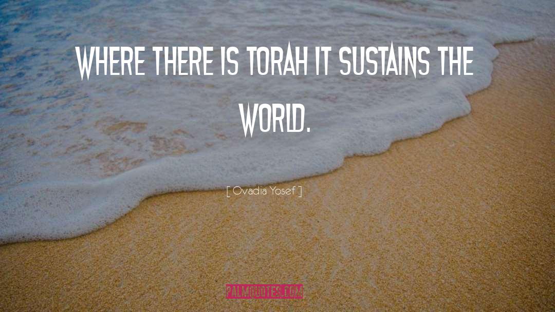 World Awareness quotes by Ovadia Yosef
