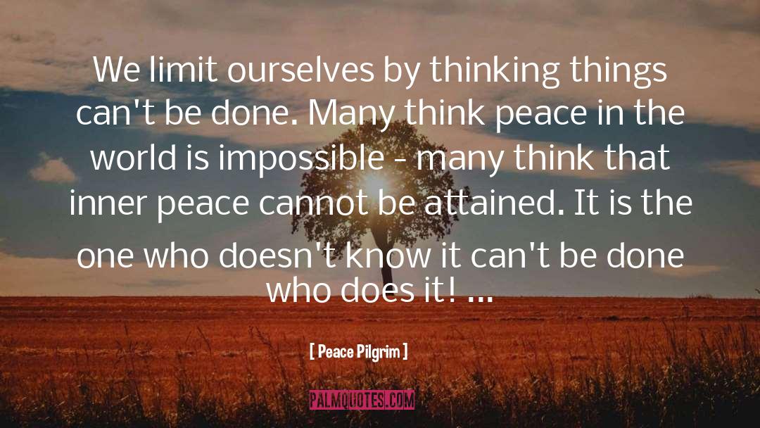 World Domination quotes by Peace Pilgrim