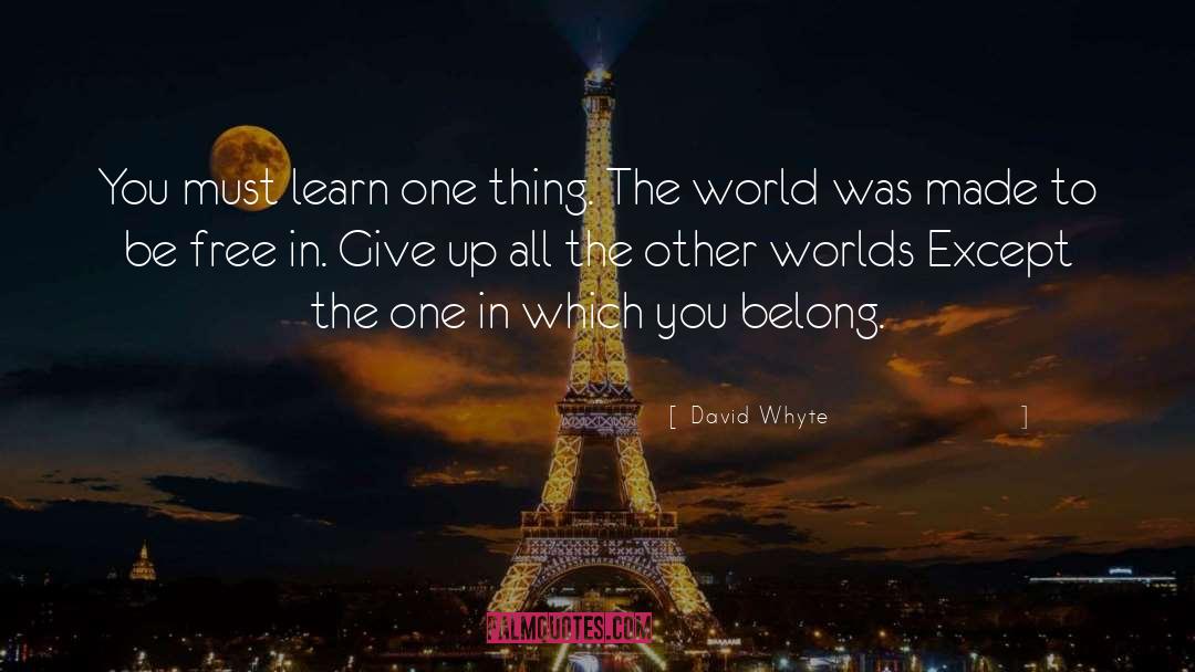 World Domination quotes by David Whyte