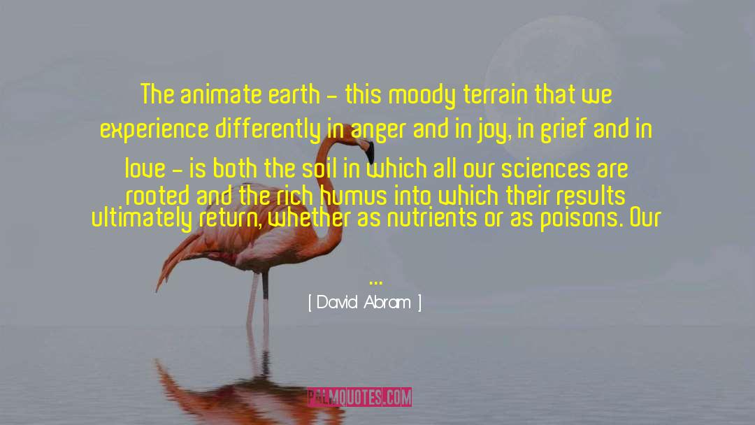 World Earth Day quotes by David Abram